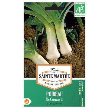 Leek Carentan 2 - Ferme de Sainte Marthe Seeds