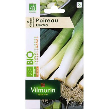 Electra Bio Leek - Vilmorin seeds - Allium porrum