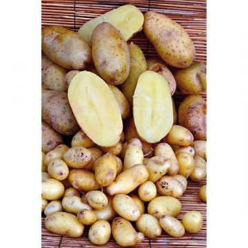 Potatoes Linzer Delikatess" Potato