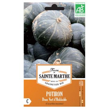 Squash Green Hokkaido - Ferme de Sainte Marthe Seeds