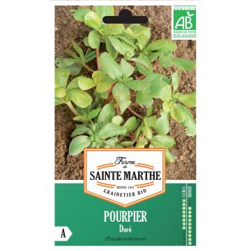 Golden Purslane - Ferme de Sainte Marthe seeds
