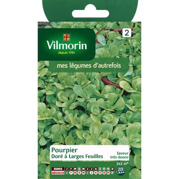 Golden Purslane with Broad Leaves - Vilmorin seeds