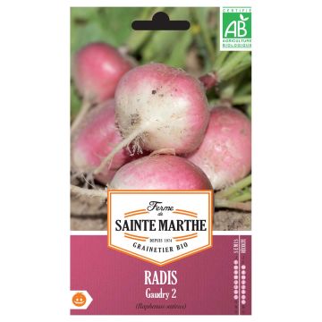 Radish Gaudry 2 - Ferme de Sainte Marthe Seeds