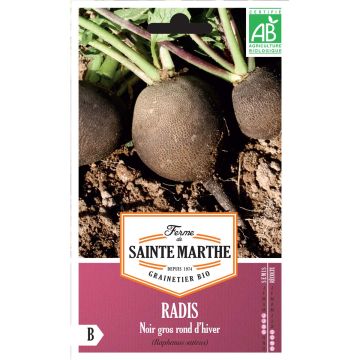 Radish Noir Gros Long d'Hiver - Ferme de Sainte Marthe Seeds