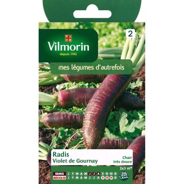 Violet de Gournay Radish