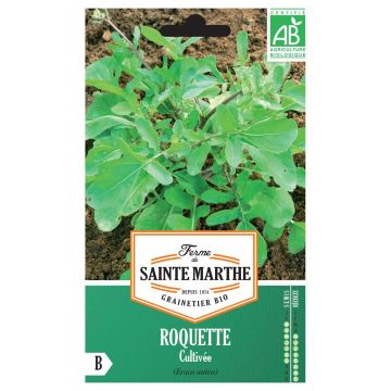 Rocket - Arugula - Ferme de Sainte Marthe Seeds