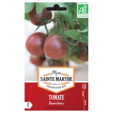 Tomato Brown Berry - Ferme de Sainte Marthe seeds