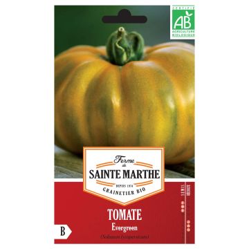 Evergreen Organic Tomato - Ferme de Sainte Marthe seeds