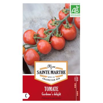 Gardeners Delight Organic Tomato - Ferme de Sainte Marthe seeds