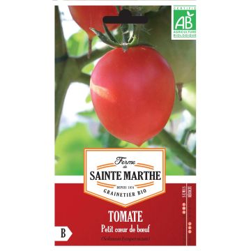 Petit Coeur de Boeuf Organic Tomato - Ferme de Sainte Marthe seeds