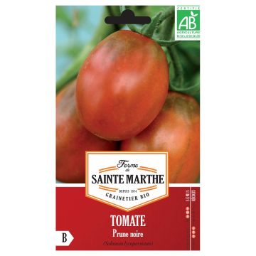 Black Plum Organic Tomato - Ferme de Sainte Marthe seeds