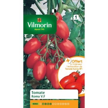 Roma VF Tomato + sample Surya Tomato - Vilmorin seeds