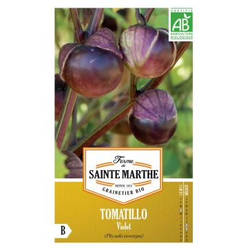 Purple Tomatillo - Ferme de Sainte Marthe seeds