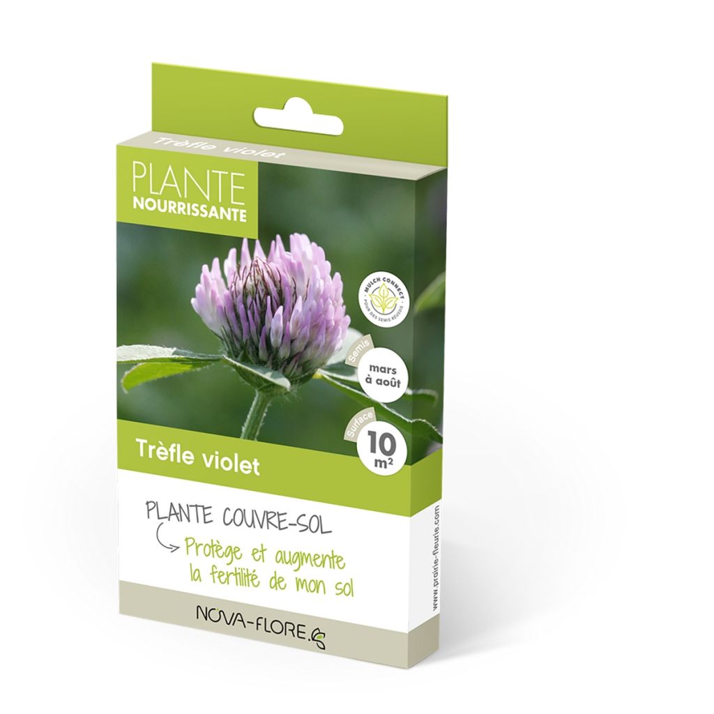 Purple Clover - Green Manure