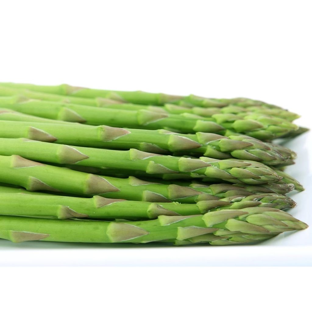 Asperge Voltaire en griffes - Asparagus officinalis