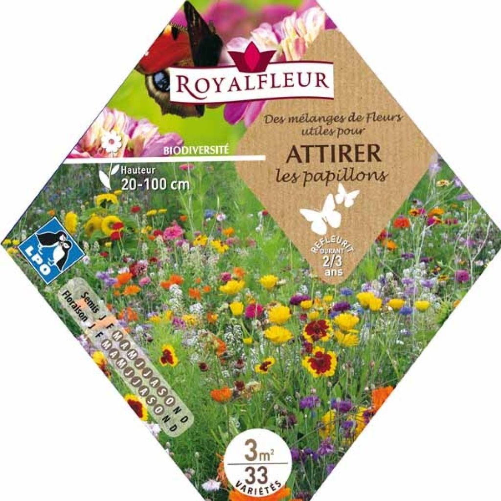 Mélange pour attirer les papillons - Sachet 3 m2