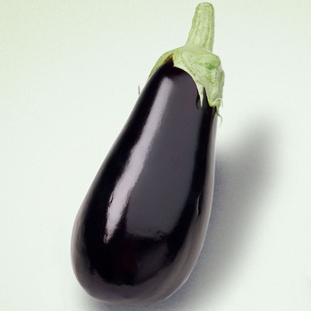 Aubergine Sultane F1 - Solanum melongena 