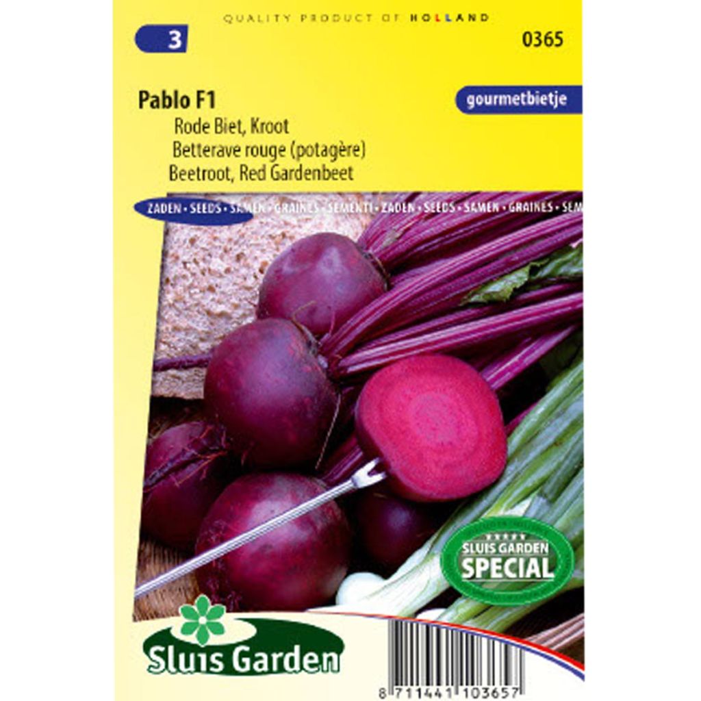 Pablo F1 Red Beetroot - Beta vulgaris