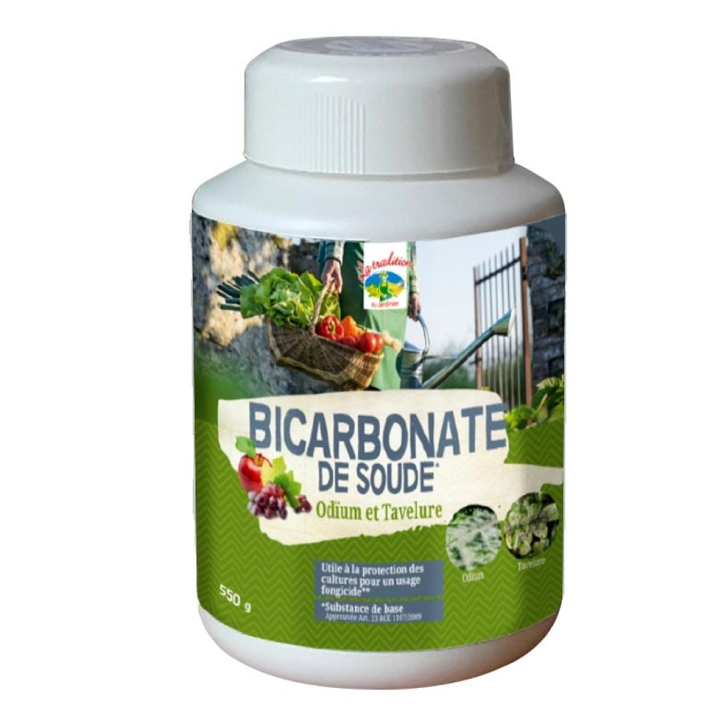 Bicarbonate de sodium en pot de 550g 