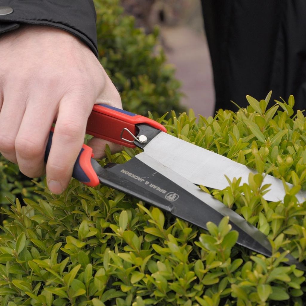 Precision Topiary Shears by Spear & Jackson
