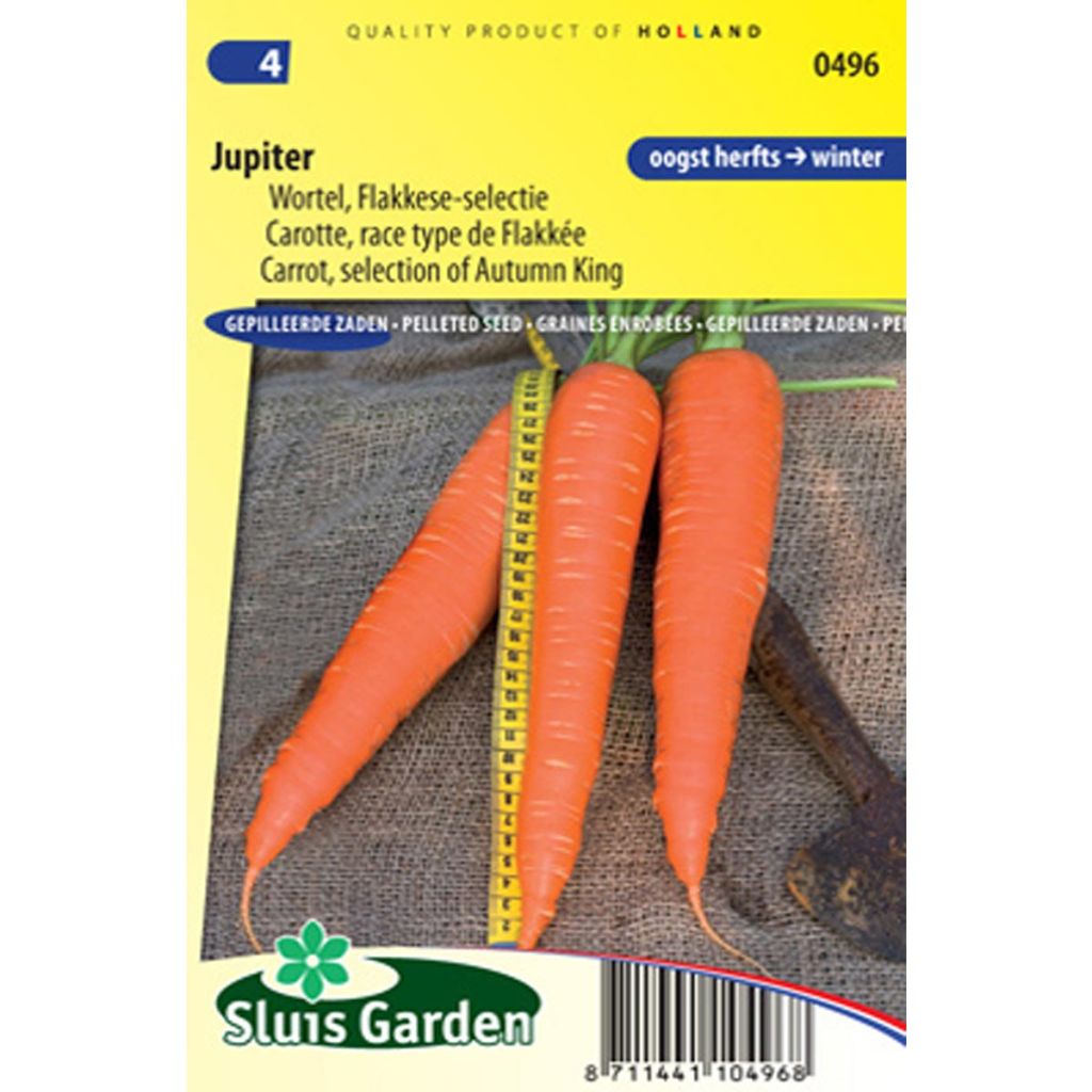 Carrot Jupiter - Daucus carota