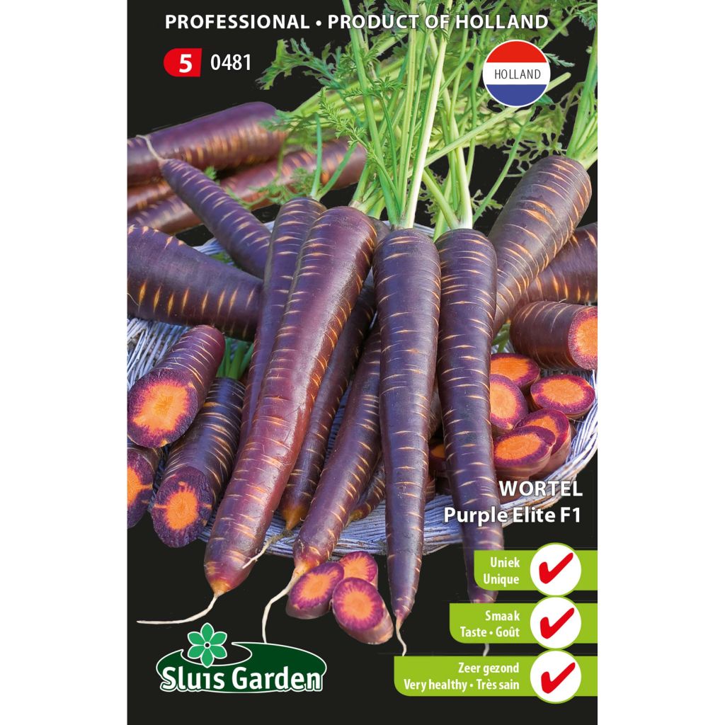 Carrot Purple Elite F1