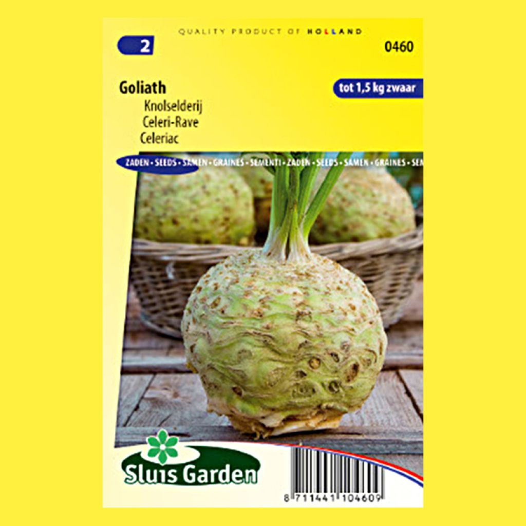 Celeriac Goliath
