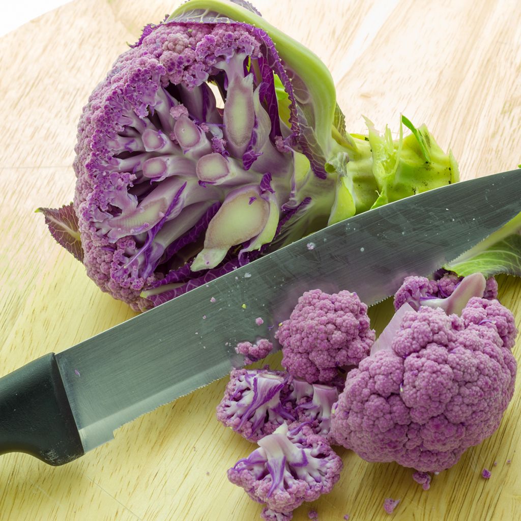 Cauliflower Graffiti F1 (purple)