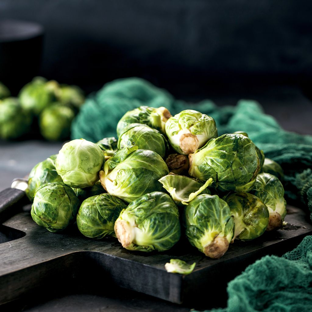Brussels Sprouts Rosny - Brassica oleracea gemmifera
