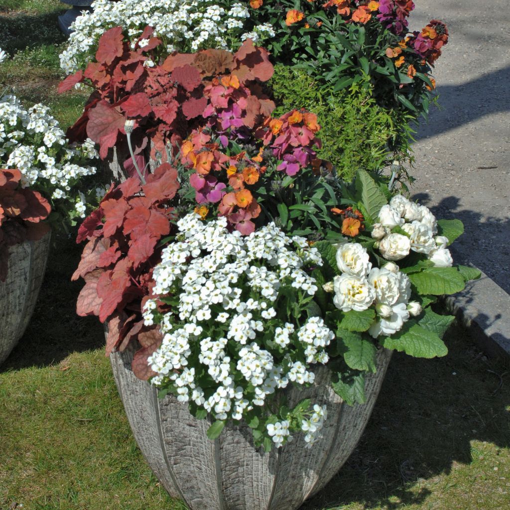Spring collection in white and copper for flowerpots and hanging baskets