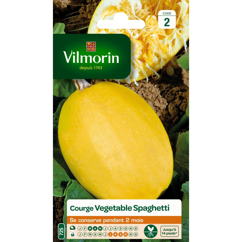 Squash Vegetable Spaghetti - Vilmorin Seeds