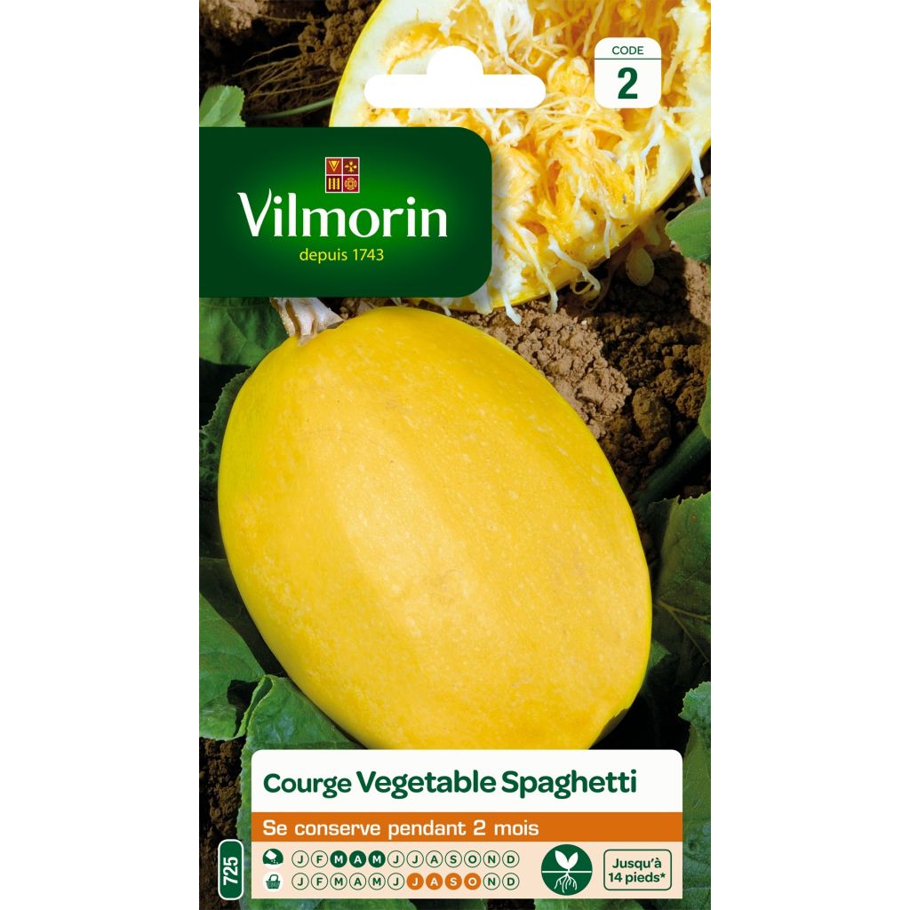 Courge Spaghetti végétal - Vilmorin