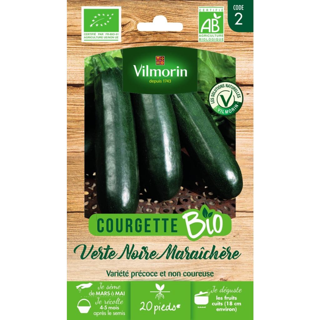 Courgette verte noire maraîchère Bio - Vilmorin