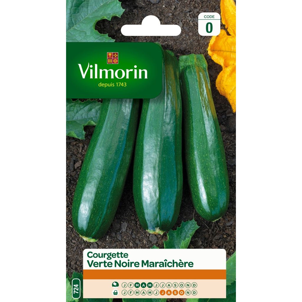 Courgette Verte Noire Maraîchère - Vilmorin Seeds