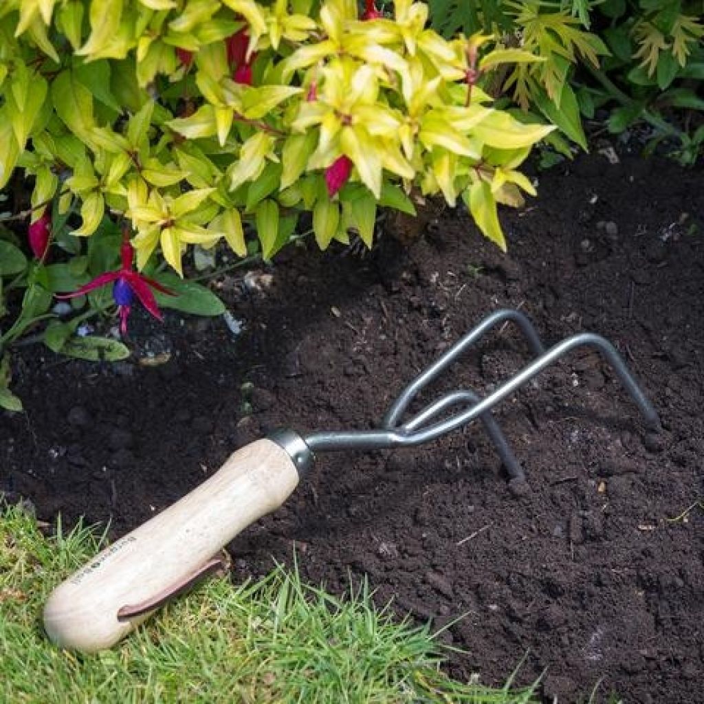 Hand cultivator with 3 steel tines - RHS Range