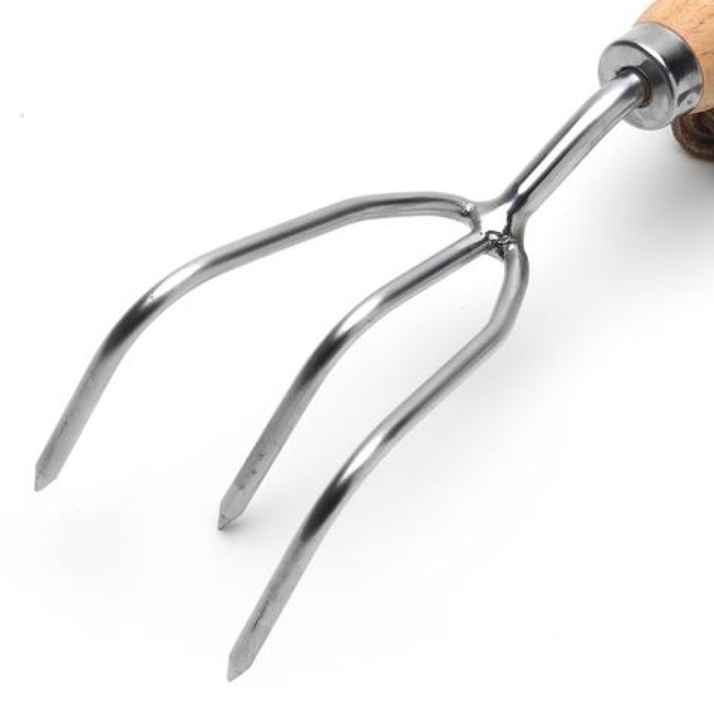 Hand cultivator with 3 steel tines - RHS Range