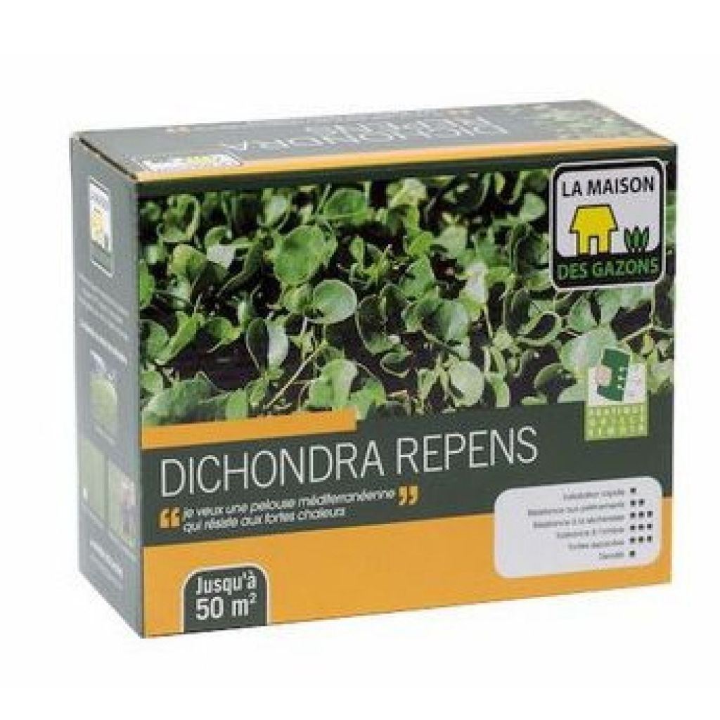 Graines de Dichondra repens 0.5 kg - dichondra rampant