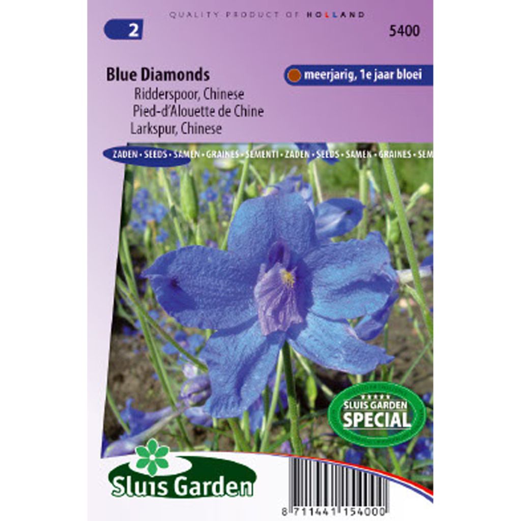 Delphinium Blue Diamonds - Pied d'alouette de Chine bleu