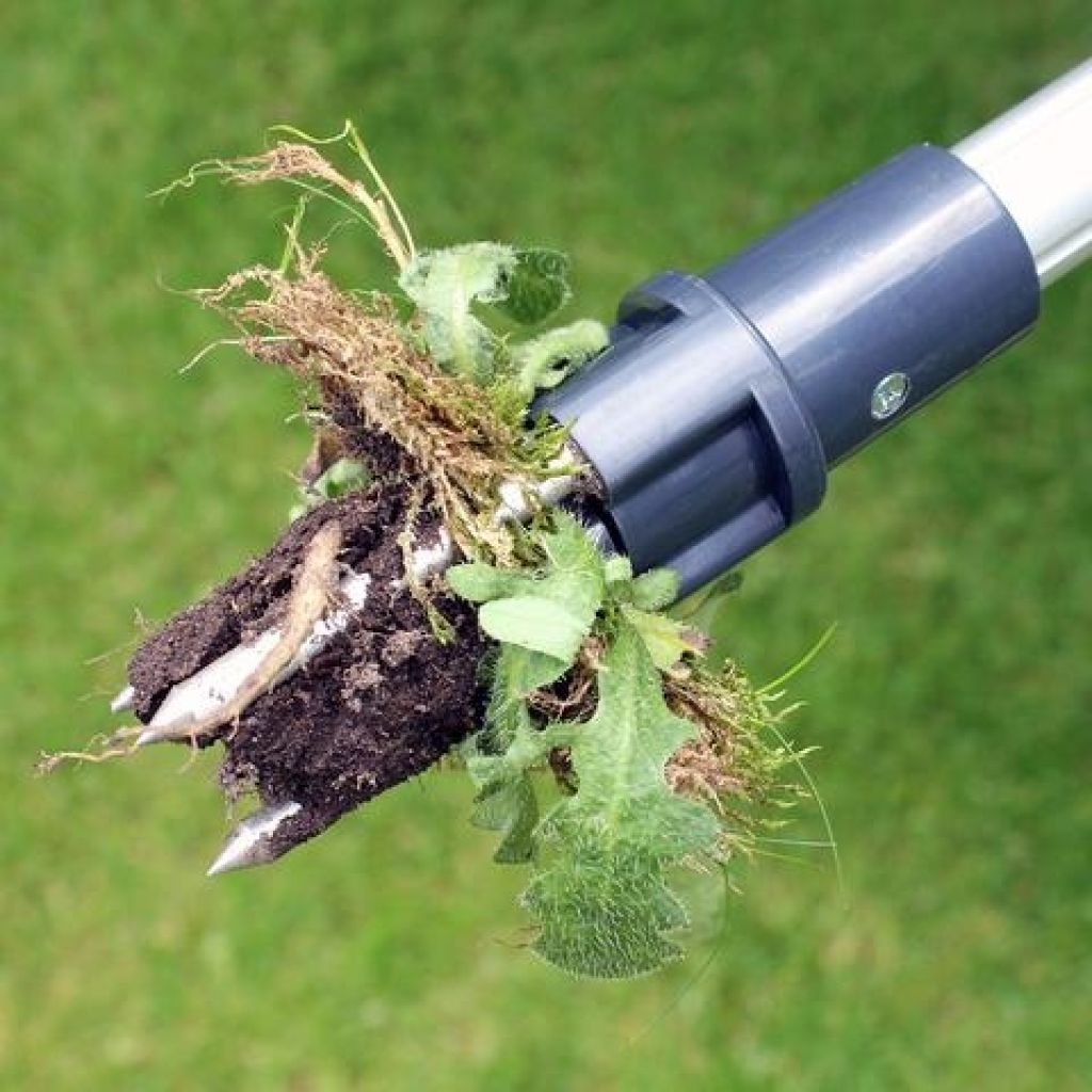 Herb Puller Wonder Weed Puller by Burgon & Ball