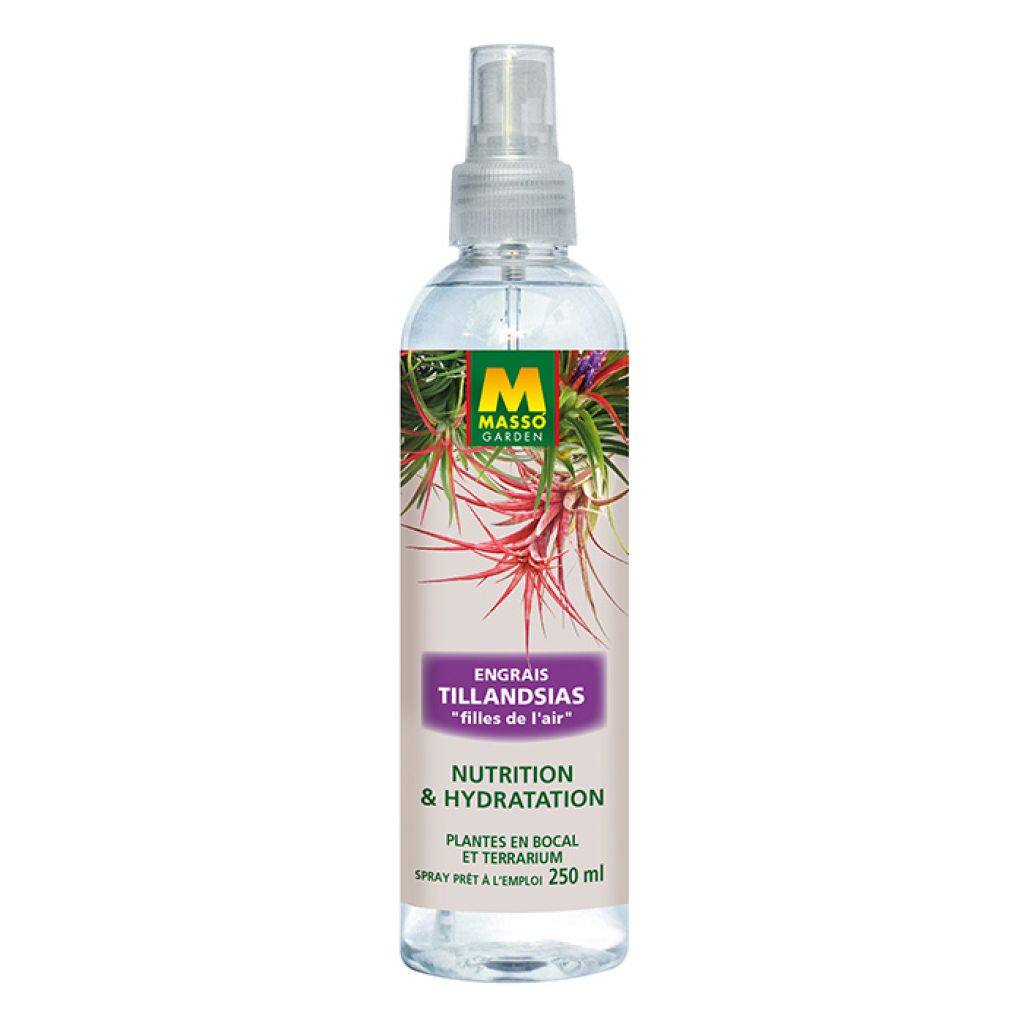 Foliar Fertilizer for Tillandsias / Air Plants by Masso Garden