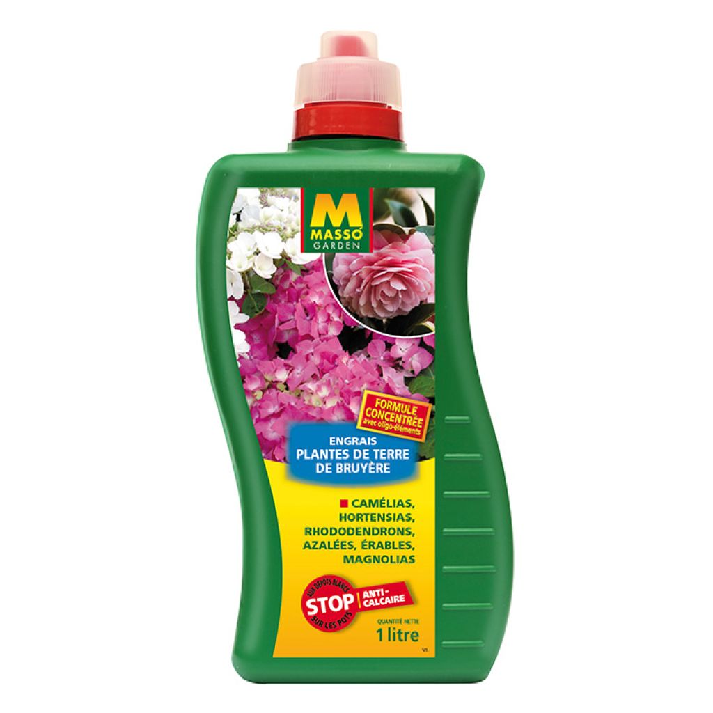 Masso Liquid Fertiliser for ericaceous plants