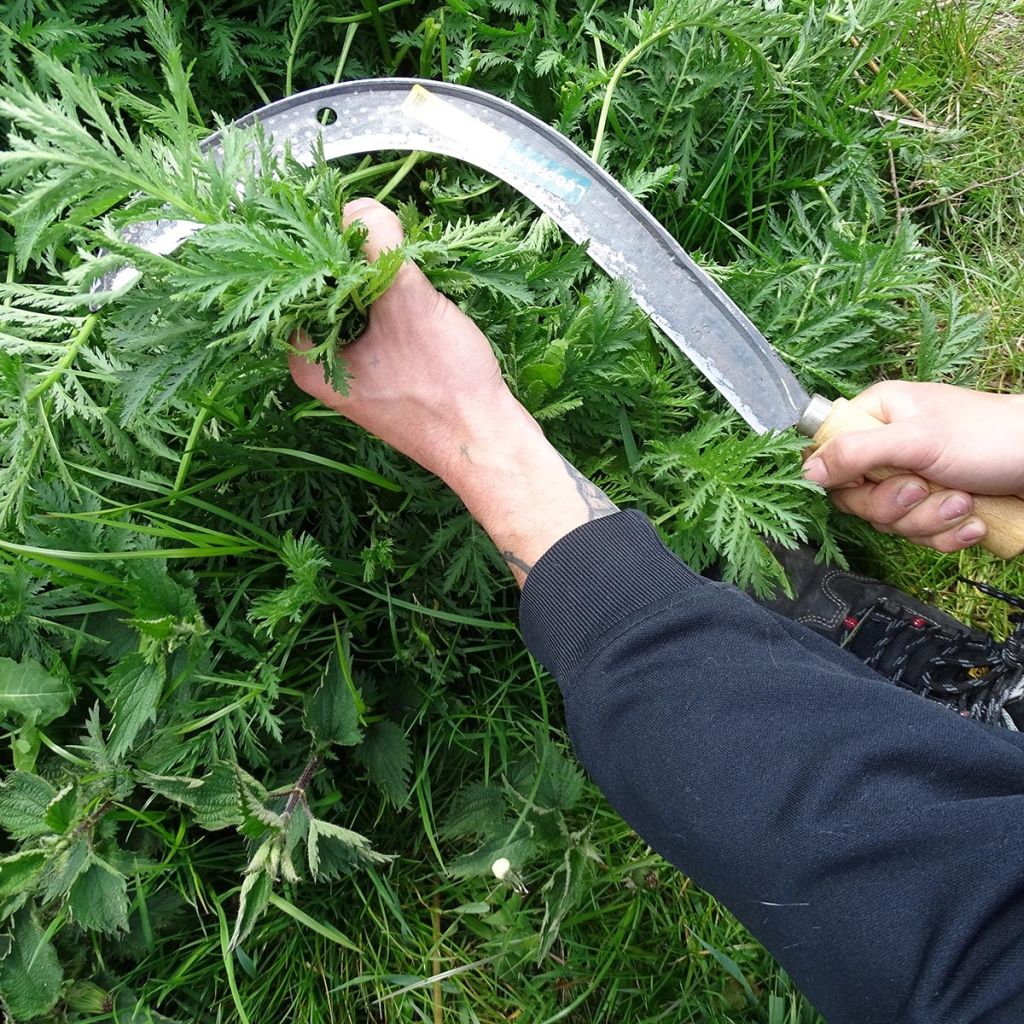 Hand brush hook