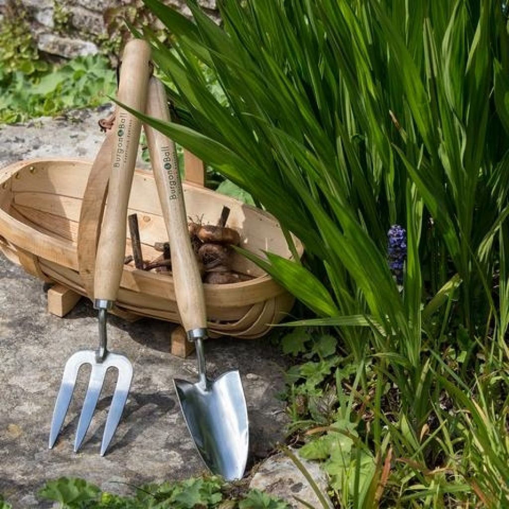 Burgon & Ball Fork with Medium Handle - RHS Range