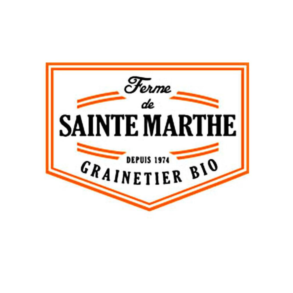 Fraisier des Quatre Saisons NT - Ferme de Sainte Marthe