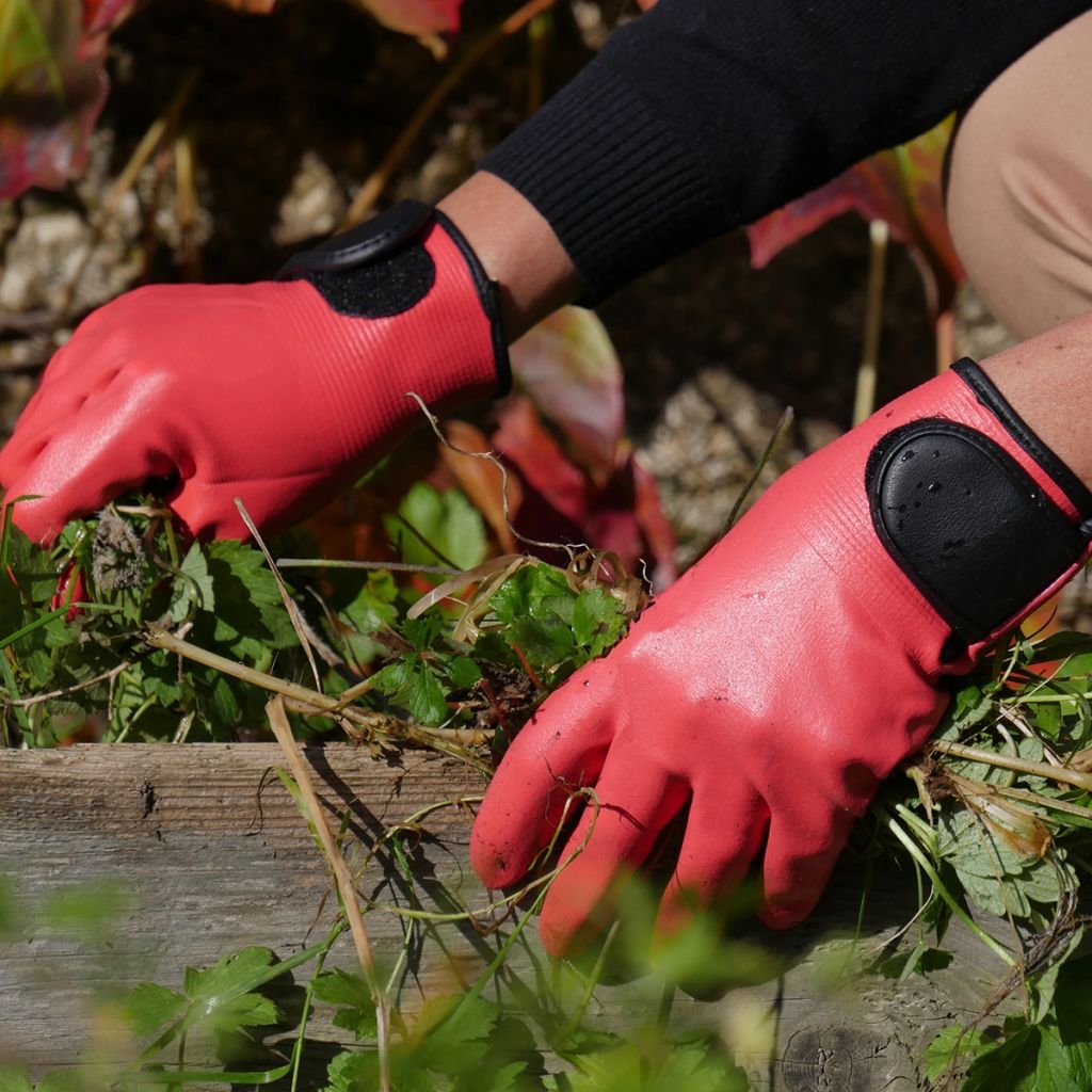 Rostaing Maxima Rose Water-Repellent Gardening Gloves