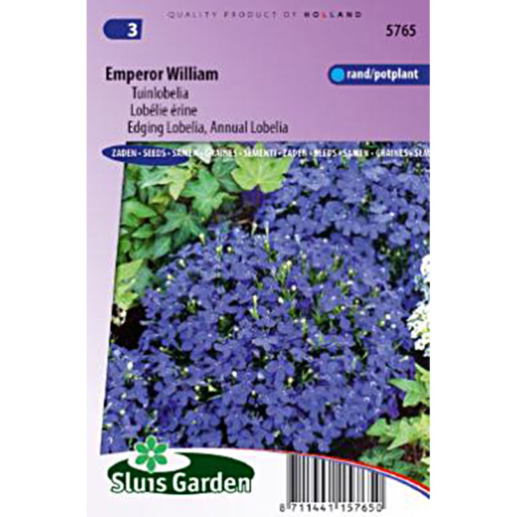 Graines de Lobelia erinus Emperor William 