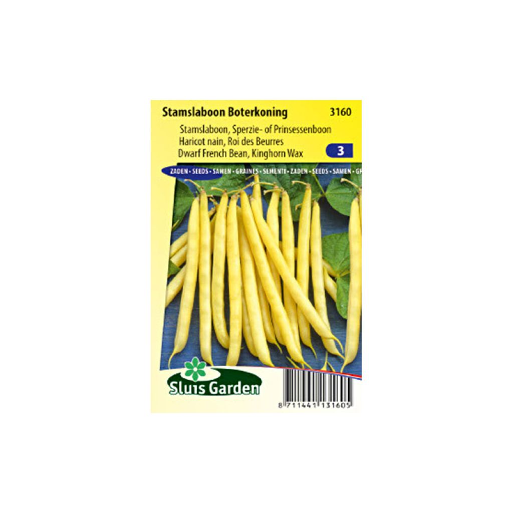 Common bean Roi des Beurres