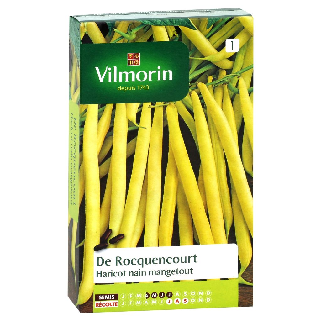 Haricot nain mangetout Beurre de Rocquencourt - Vilmorin