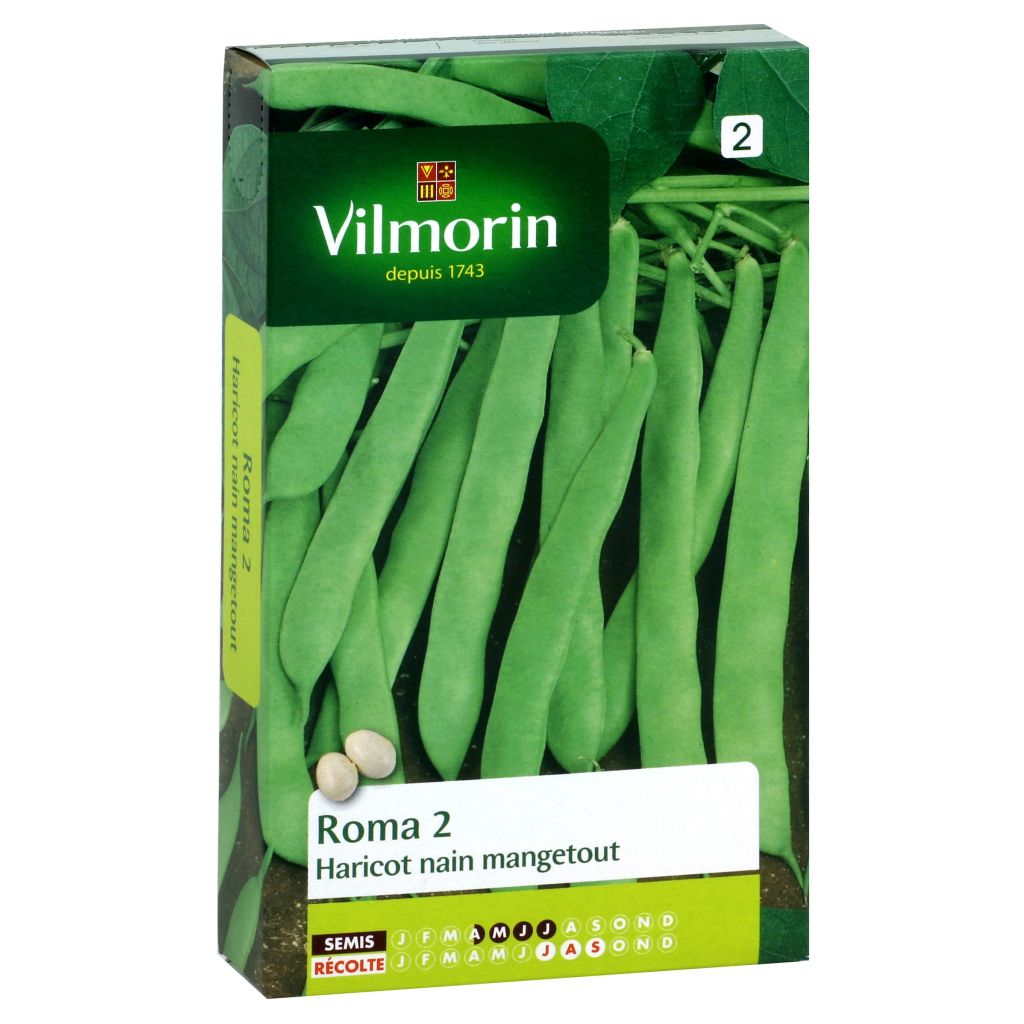 Haricot nain mangetout Roma 2 - Coco plat- Vilmorin