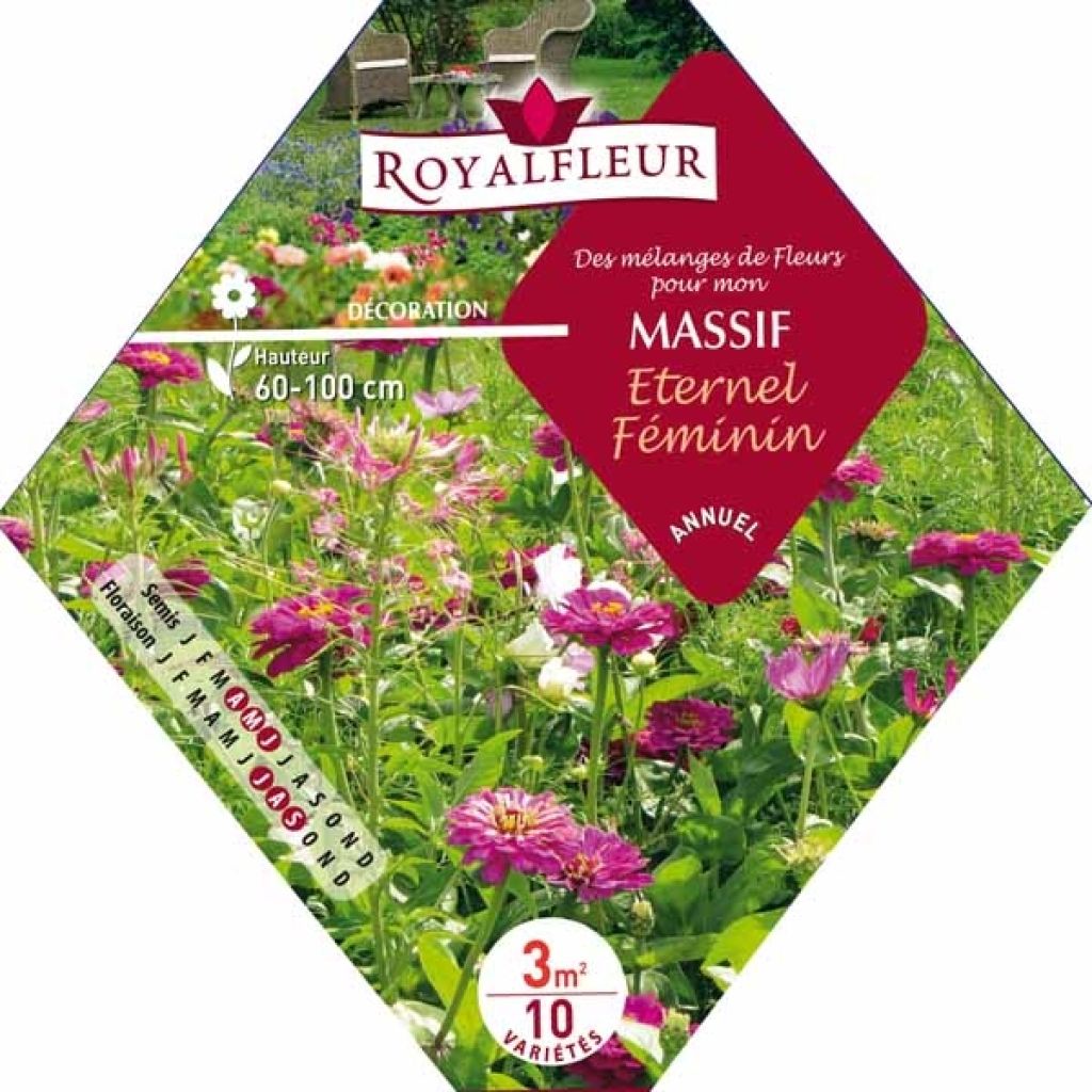 Mélange pour massif Eternel féminin -Sachet 3 m2